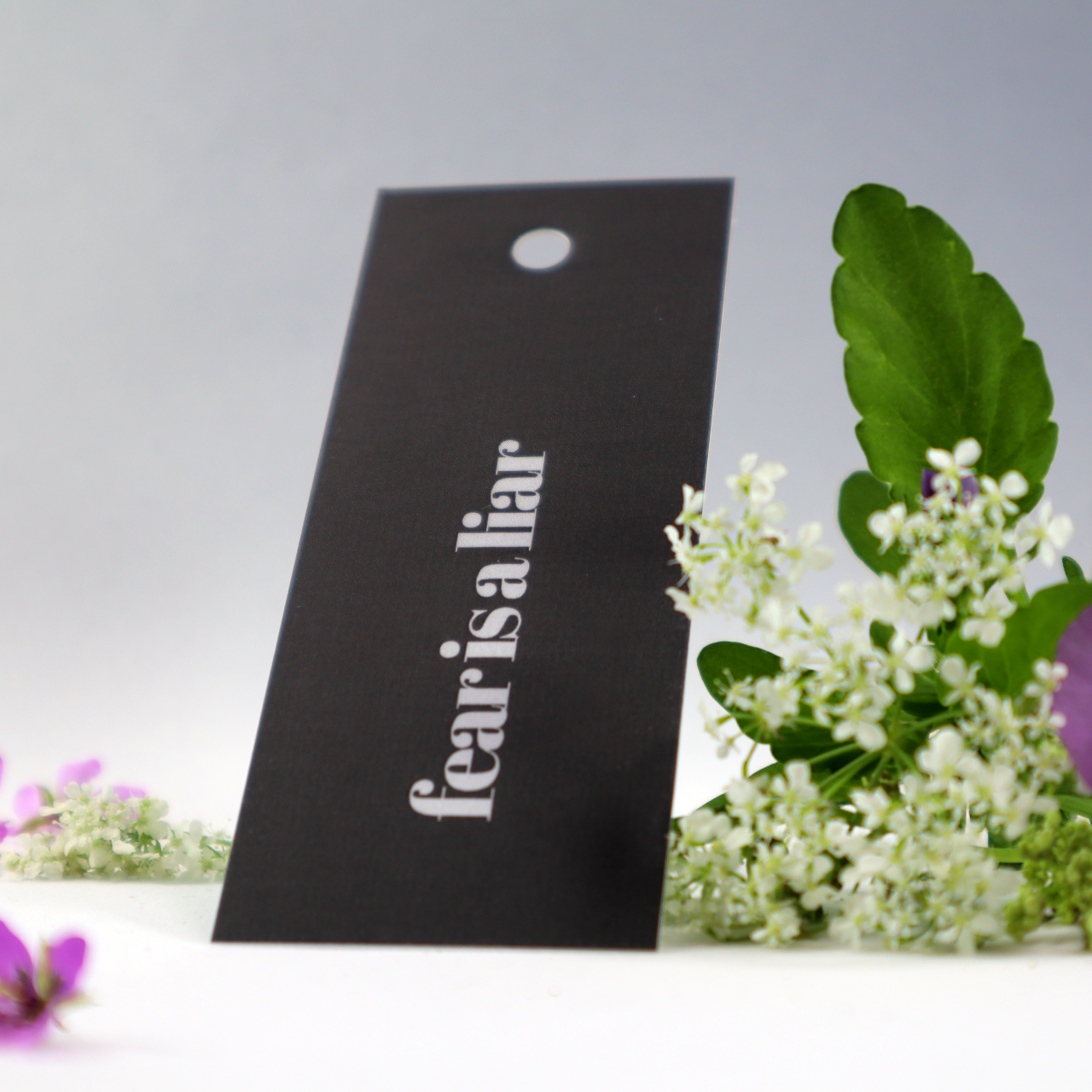 Hang tag - fear is a liar