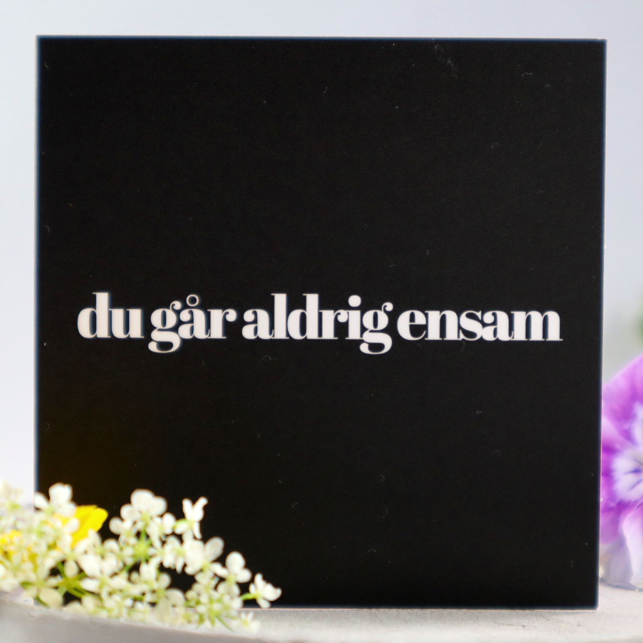 Du går aldrig ensam